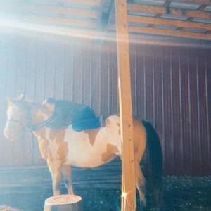 Meet your Posher, Robbie